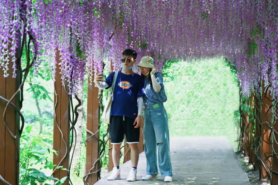 新乡南太行|虽迟必到，秋色太行盛宴待客！