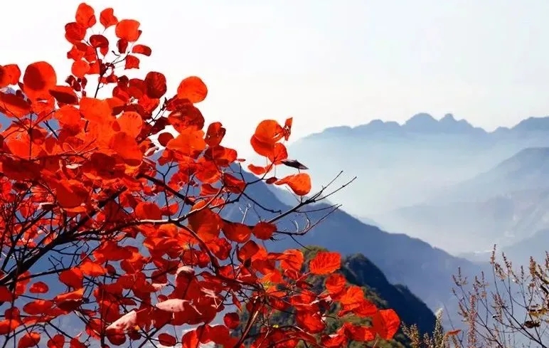 河南文旅重磅消息！新乡南太行对全国人民免门票一个月！！！