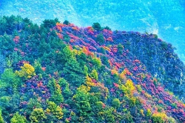 大自然打翻的调色盘，撒在了新乡南太行的山水之间~