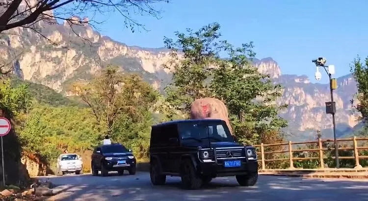 一路美景一路嗨歌，新乡南太行圆你的自驾梦！