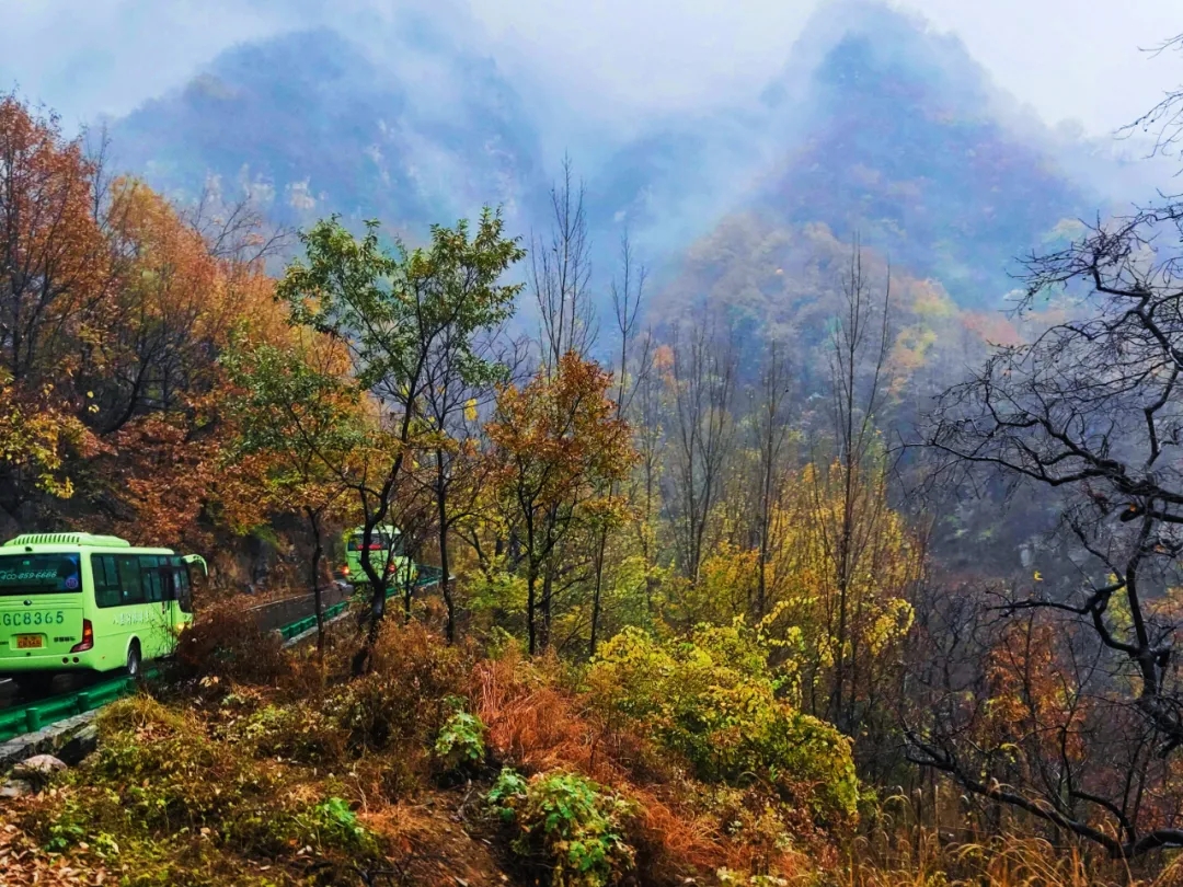 抓住十月的小尾巴，一起来一场秋季旅行吧~