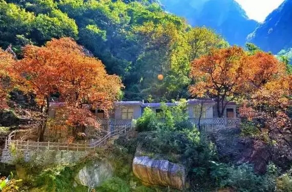 秋天的新乡南太行，让你一眼沦陷！