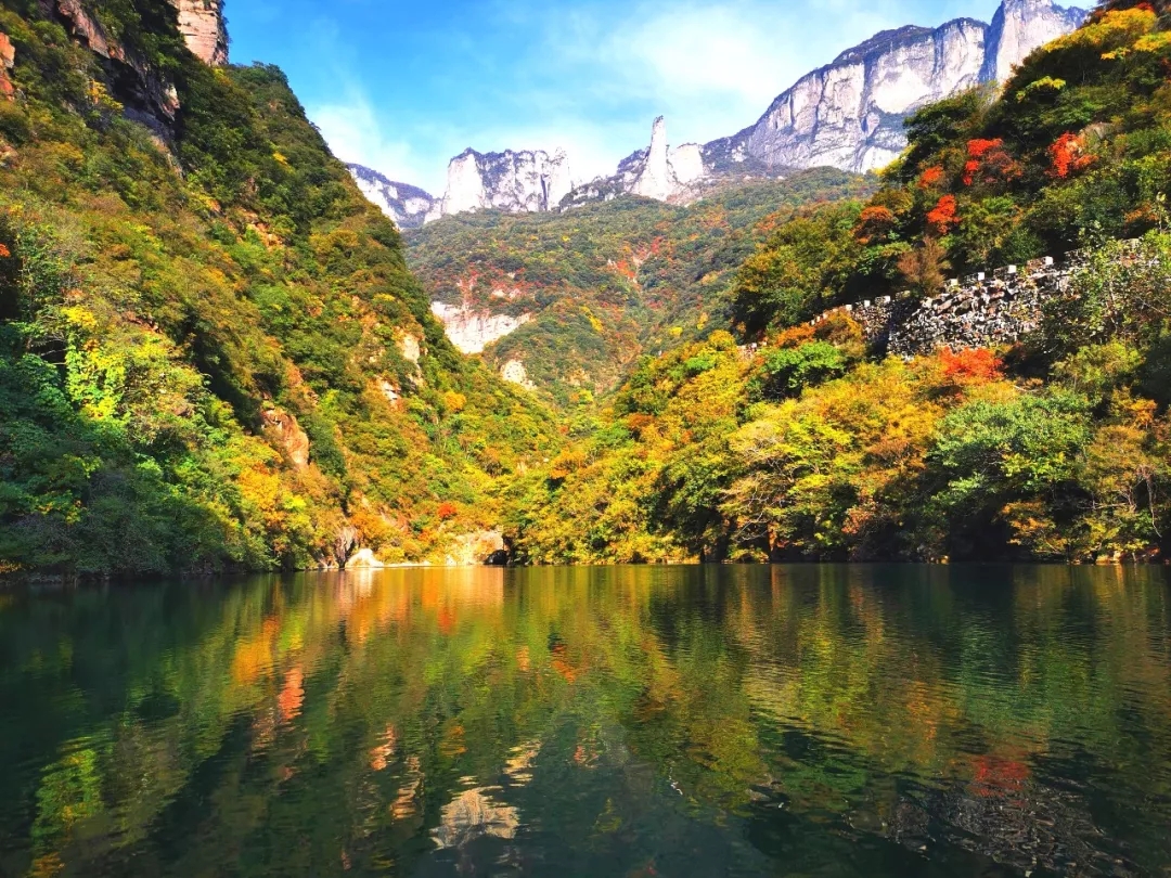 赏红叶，品秋果！给好“色”的你来一场视觉盛宴！