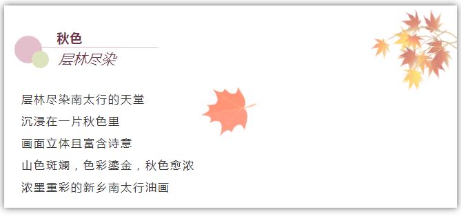 新乡南太行|秋自缤纷，生当绚烂，总有一笔，不经意的画在你心中！