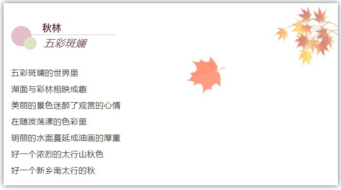 新乡南太行|秋自缤纷，生当绚烂，总有一笔，不经意的画在你心中！