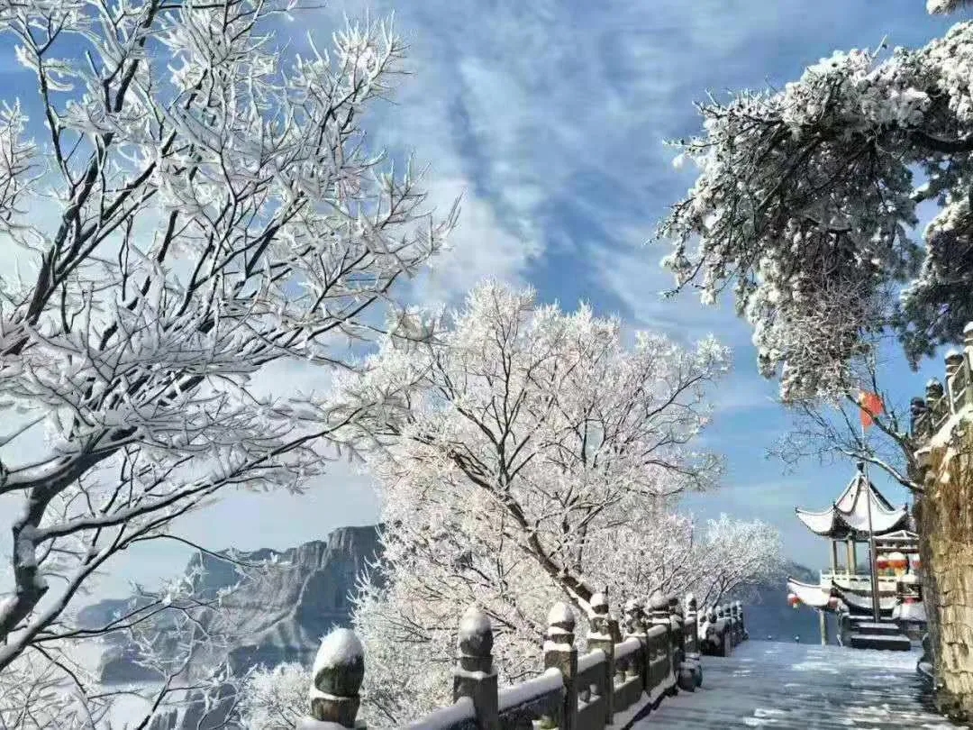 秋末冬初，不负美景！