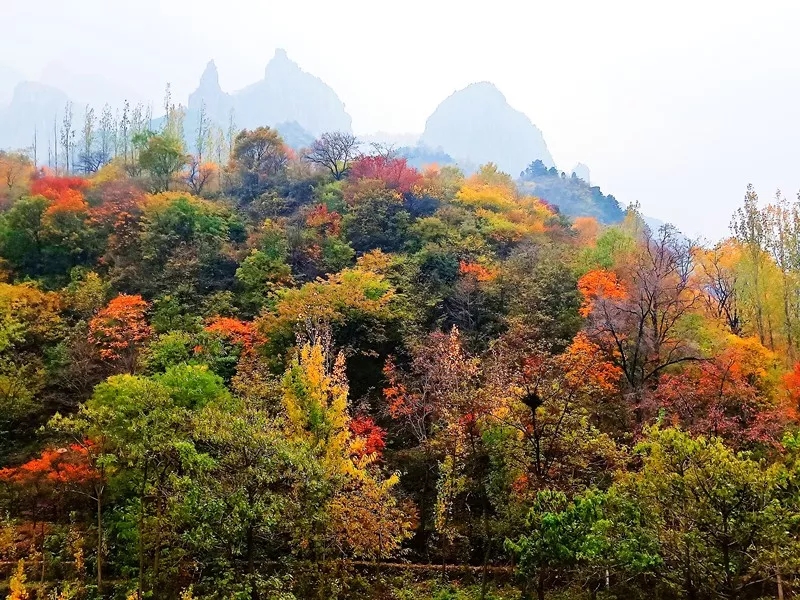 满目皆美景，听说这里藏着一个五彩斑斓的梦幻之境！