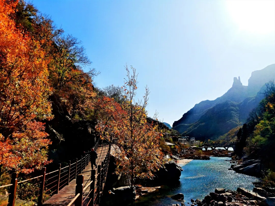 新乡南太行|初冬赏景，不负时光