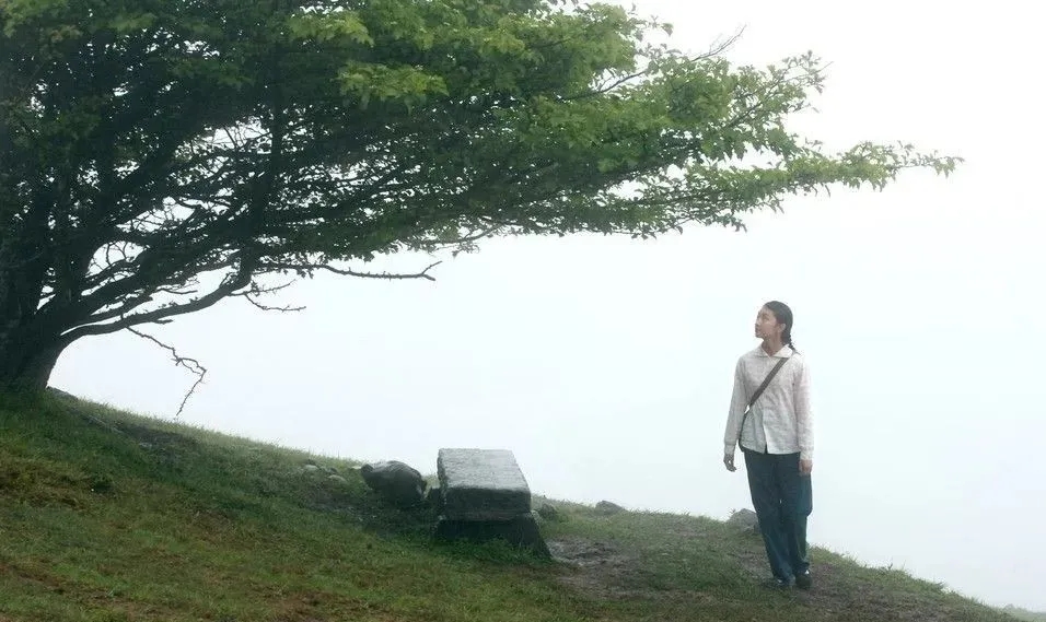 万仙山|满山山楂树，地道太行味！