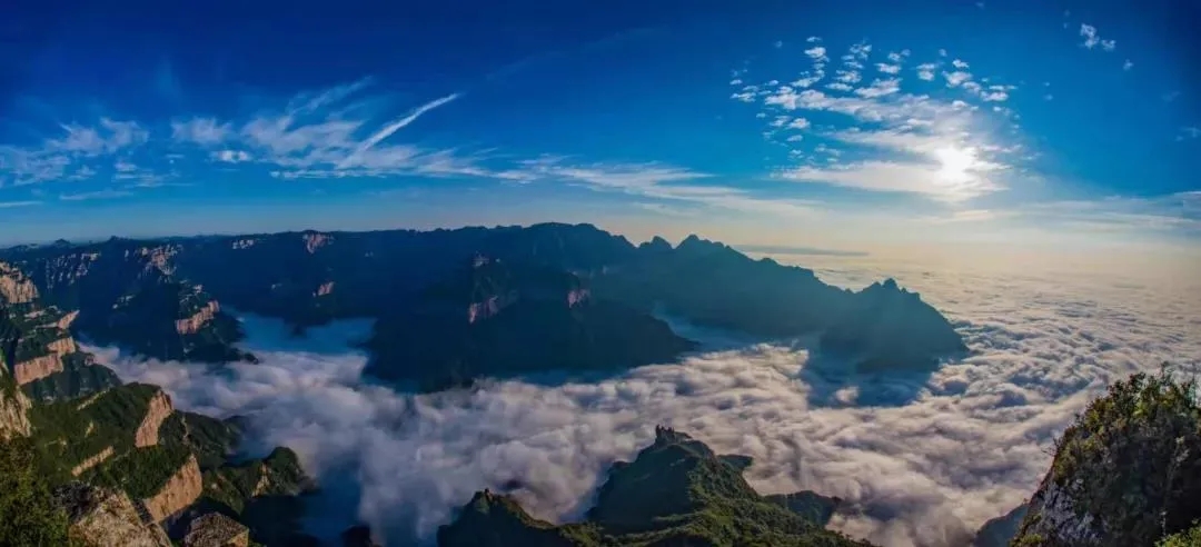 火了！央视《味道中原》聚焦关山槐花，这一定是你心动的太行味道