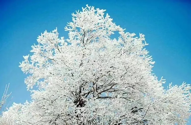 新乡南太行|冬日登高游赶快安排上吧