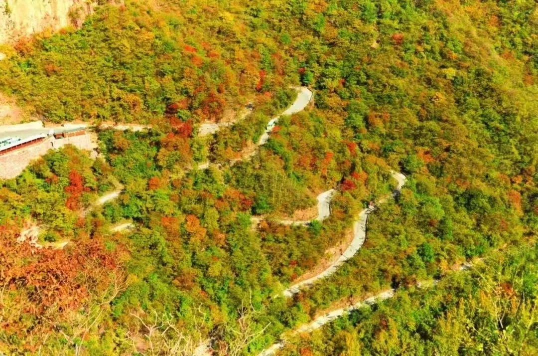万仙山|霜叶红于二月花