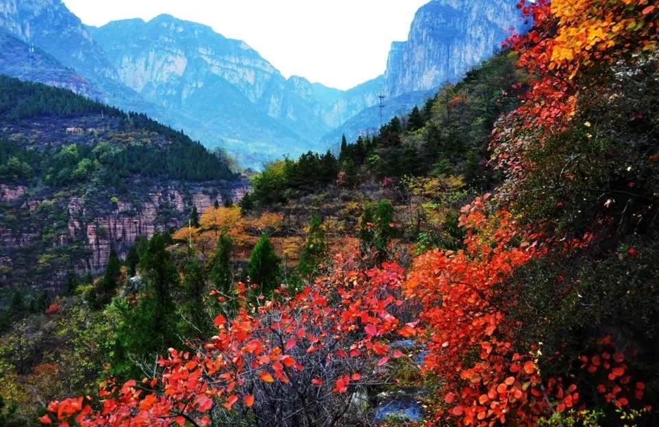 万仙山|霜叶红于二月花