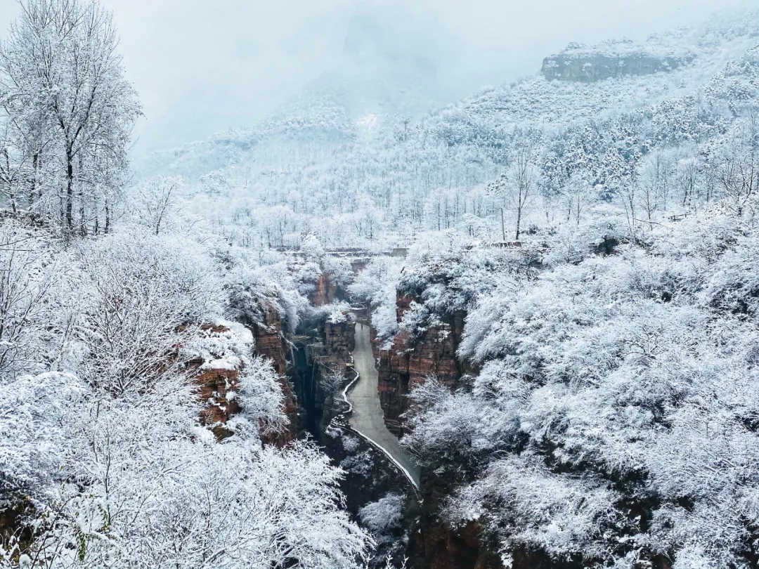 新乡南太行|大雪节气，来看新乡南太行的万般姿态！