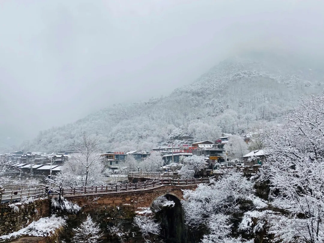 寒潮预警|抓住冬日暖阳的小尾巴，快来欣赏这里的冬日之美吧！
