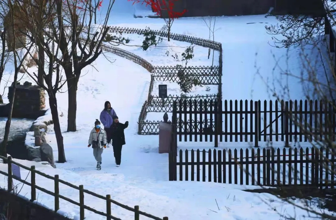 新乡南太行|这里的浪漫，都藏在了冬天的雪里