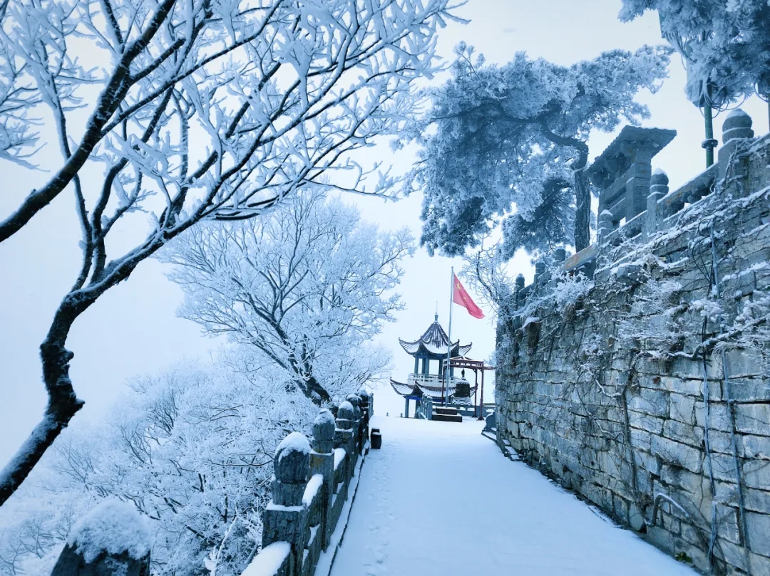 新乡南太行|下雪啦！快来看，雪景太美了！