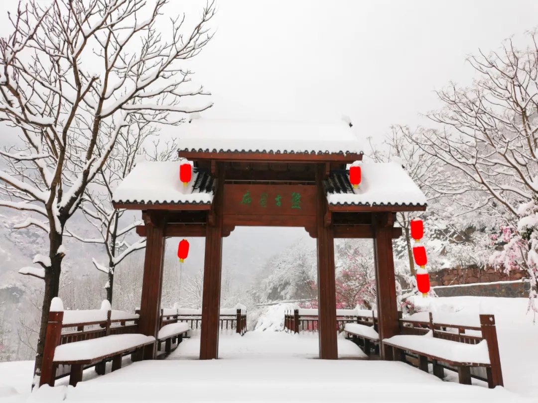 新乡南太行|下雪啦！快来看，雪景太美了！