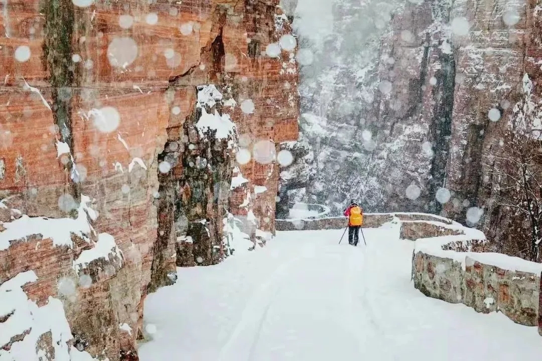 新乡南太行|下雪啦！快来看，雪景太美了！