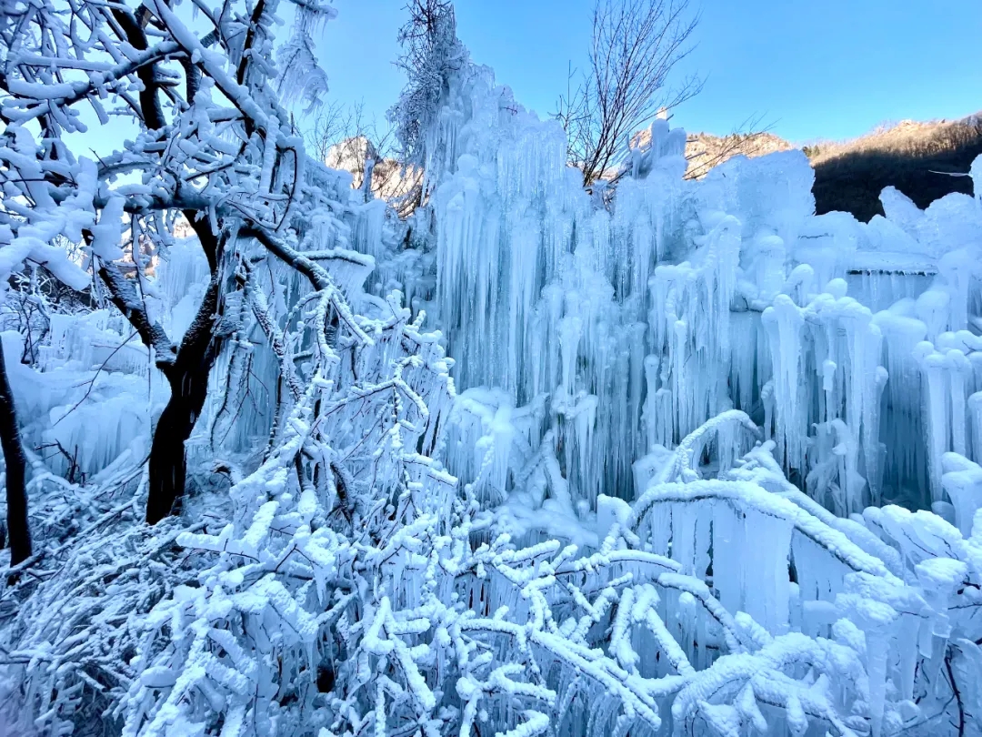 迎元旦|八里沟冰雪节倒计时，你准备好了吗