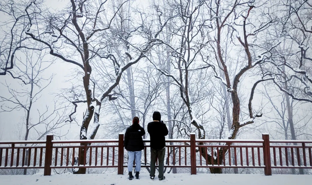 【今日小寒|凛冬至 愿君安】新乡南太行迎来2022第一场雪