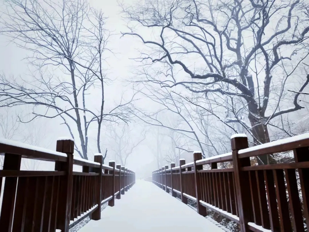 新乡南太行|冬天的雪，是上天写给人间的诗！