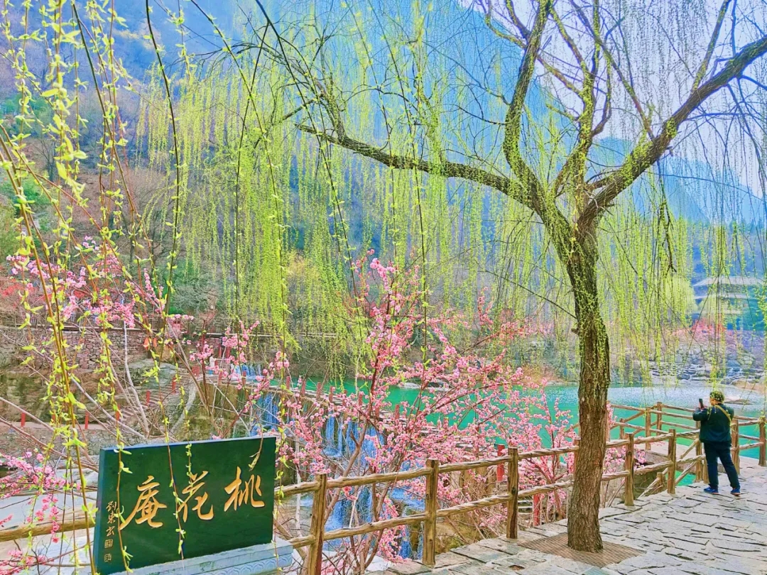 重磅福利！新乡南太行对全国人民免门票啦！