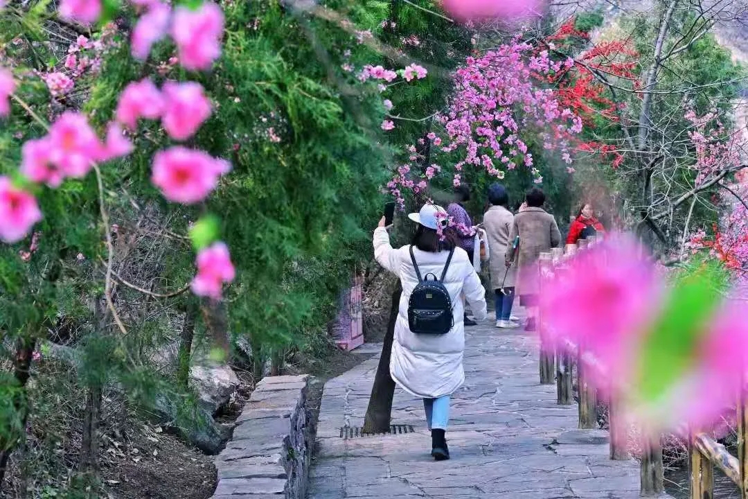 重磅福利！新乡南太行对全国人民免门票啦！