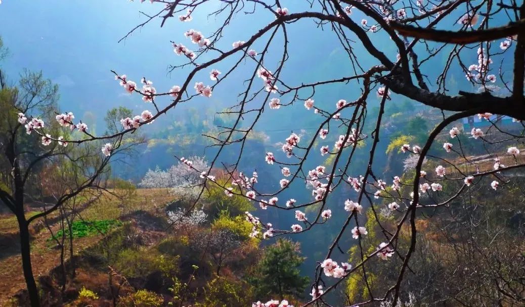 雨水 | 浅听雨润大地 轻音希望萌芽