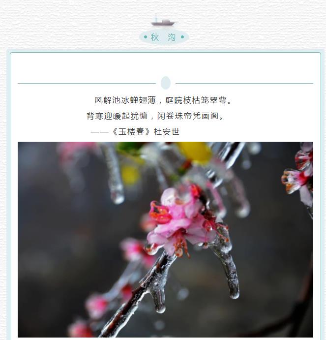 雨水 | 浅听雨润大地 轻音希望萌芽
