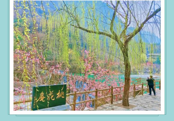 全国游客免门票|新乡南太行邀您踏青赏花，不负春光！
