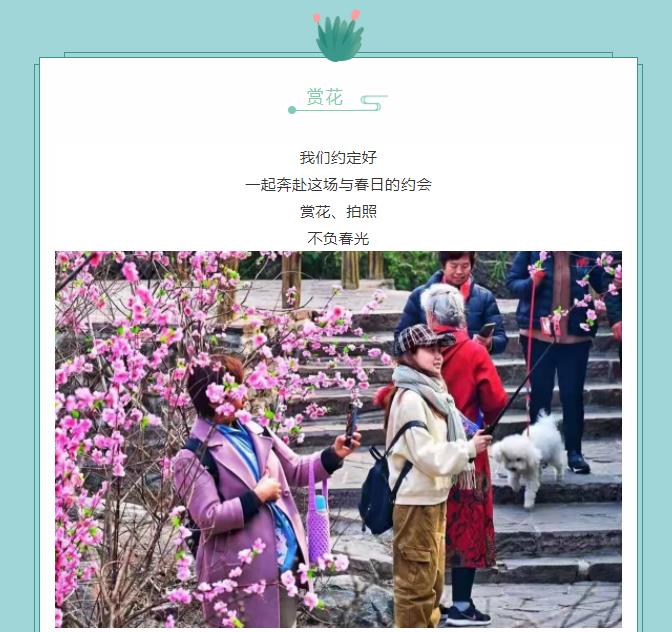 全国游客免门票|新乡南太行邀您踏青赏花，不负春光！