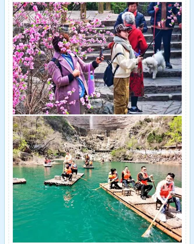 新乡南太行|与春风同行，一起来踏春赏花~