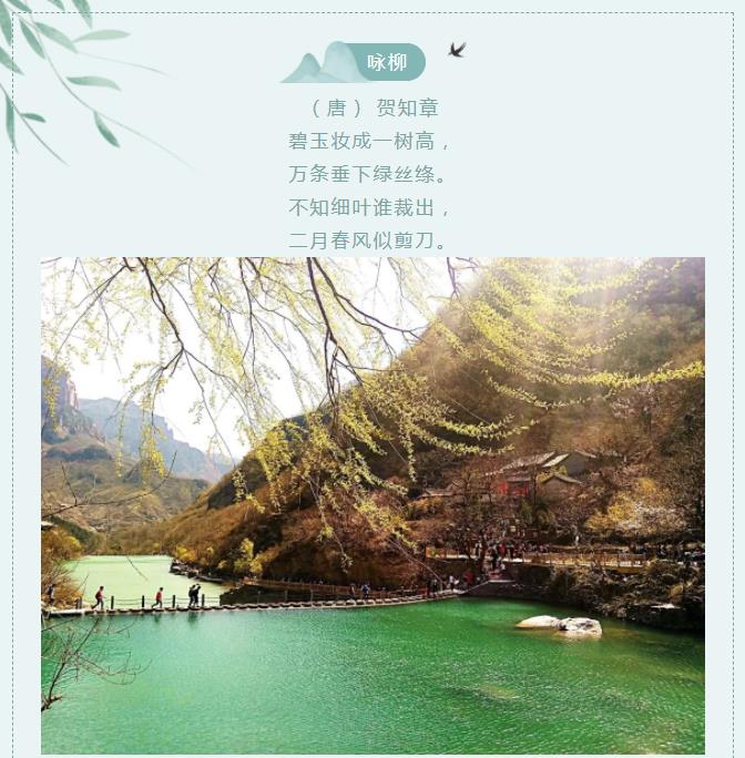 用古诗词的方式打开新乡南太行春日美景！