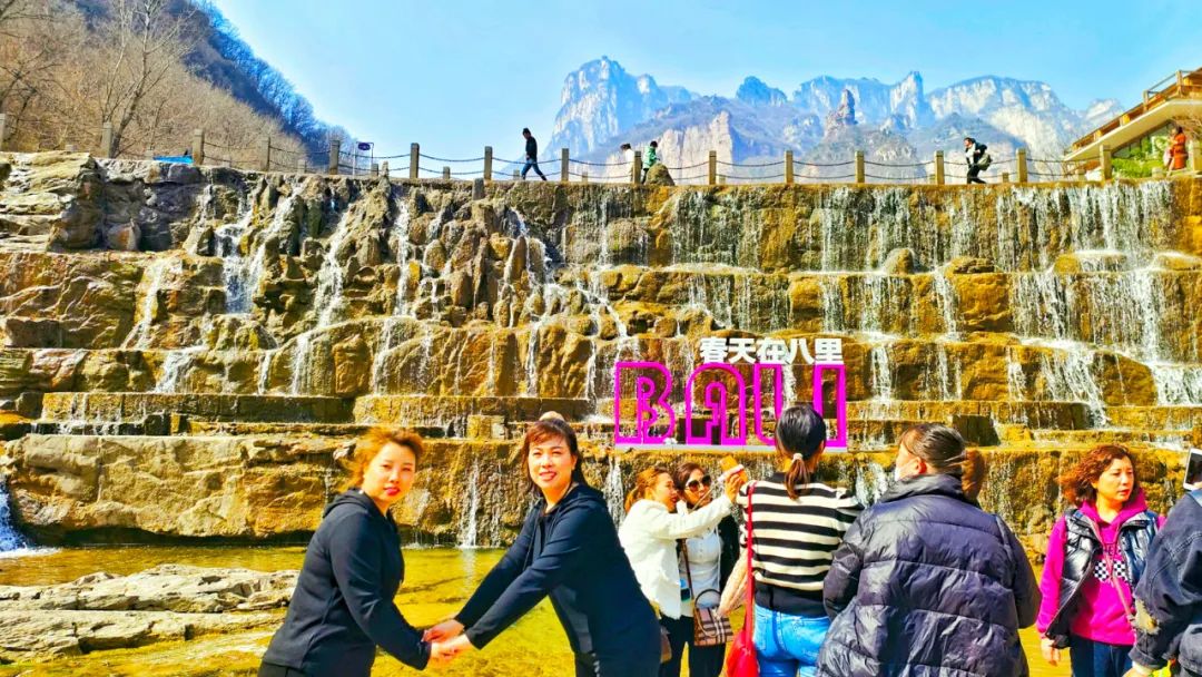 @所有女神，豫北地区最大鲜花地毯盛装亮相，喜迎三八女神节！