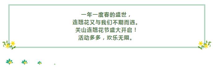“翘”首以盼|关山连翘花节大剧透！