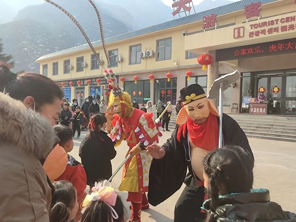 “翘”首以盼|关山连翘花节大剧透！