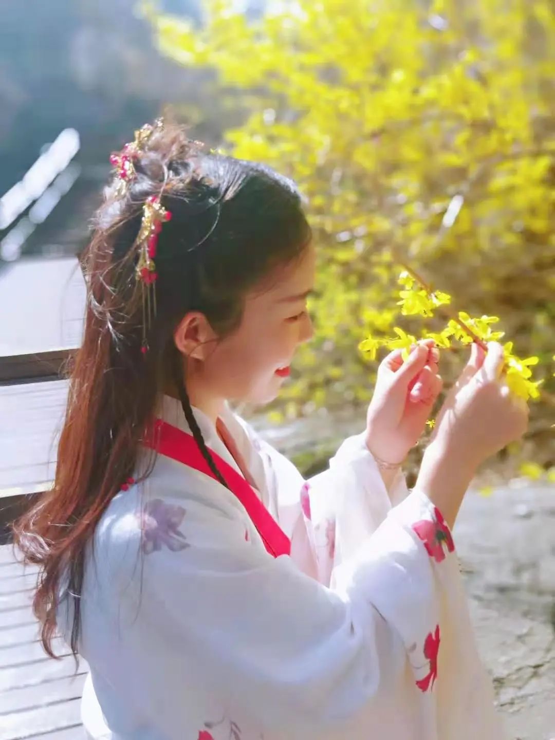 “翘”首以盼|关山连翘花节大剧透！