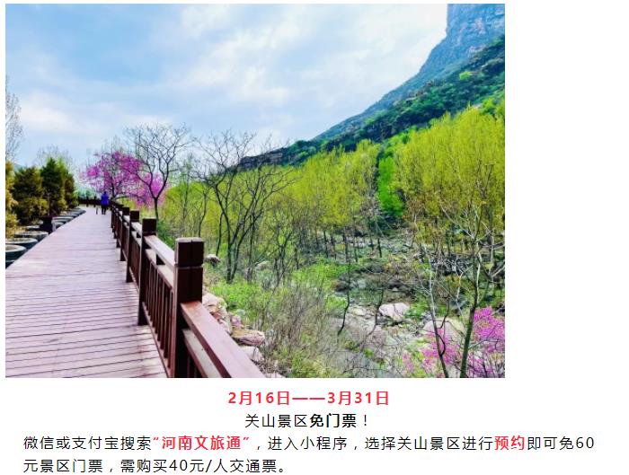 “翘”首以盼|关山连翘花节大剧透！