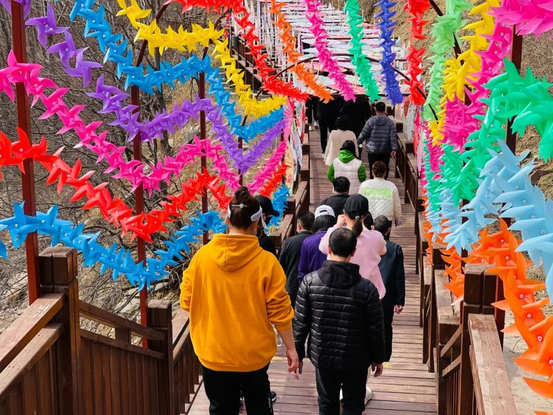 @所有女神，豫北地区最大鲜花地毯盛装亮相，喜迎三八女神节！