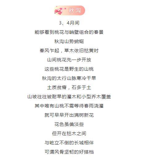 万仙山|3月，看桃花来这里就对了！