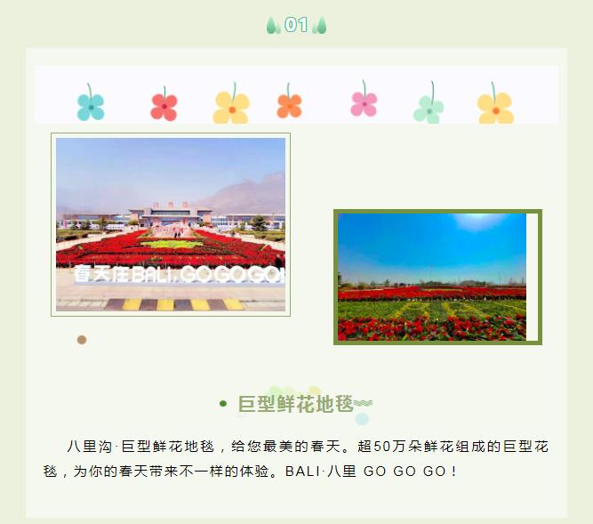 阳春三月,“花”式打卡新乡南太行的春天