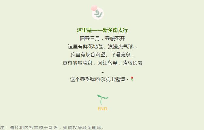 阳春三月,“花”式打卡新乡南太行的春天