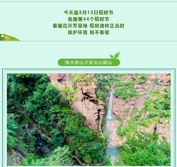 植树节|植此青绿，溢一片春光