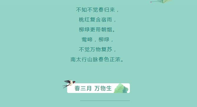 新乡南太行|万物生 春意正浓