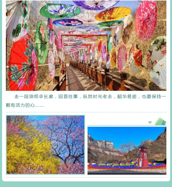 新乡南太行|万物生 春意正浓