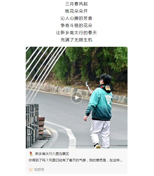新乡南太行|三月春风起，桃花朵朵开！
