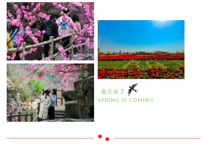 新乡南太行|三月春风起，桃花朵朵开！