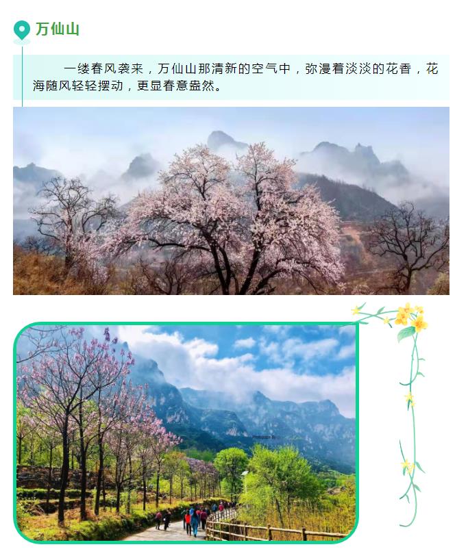 新乡南太行|三月春风起，桃花朵朵开！