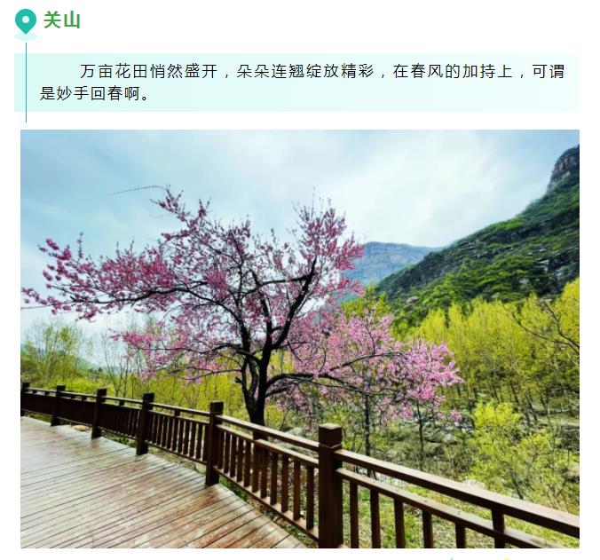 新乡南太行|三月春风起，桃花朵朵开！